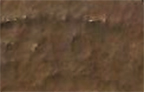 Identification-Help